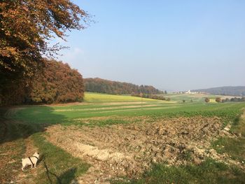 Scenic view of landscape against clear sky