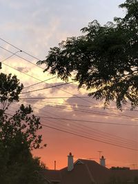 Low angle view of silhouette trees against sky during sunset