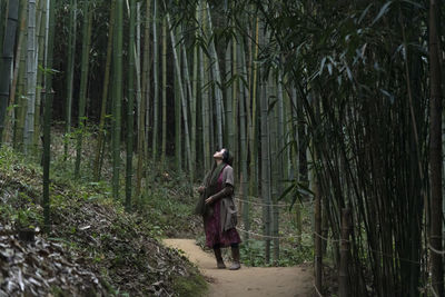 View of a woman in the bamboo forest