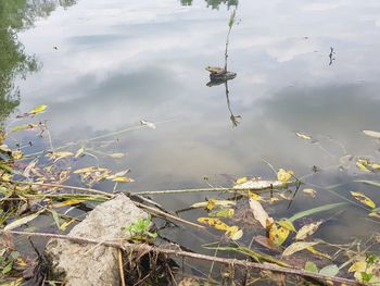 High angle view of birds flying over lake against sky