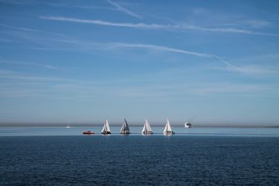 Sailboats sailing in sea against blue sky