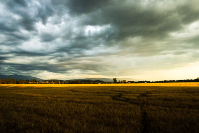 Scenic view of agricultural field against cloudy sky