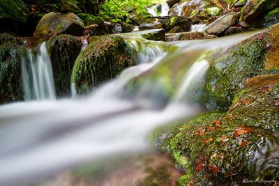 Scenic view of waterfall in forest