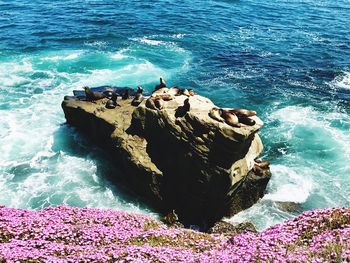 High angle view of rocks in sea