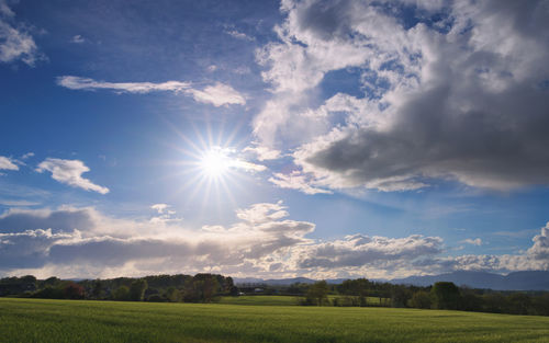 Scenic view of field against sky