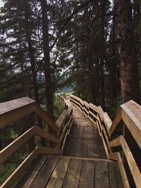 Empty wooden boardwalk amidst trees in forest