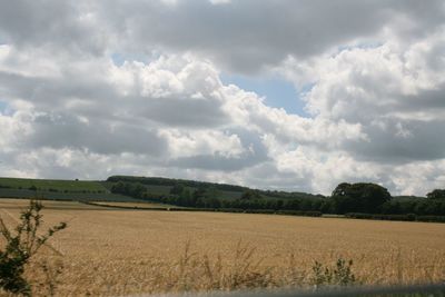 Scenic view of agricultural field against sky