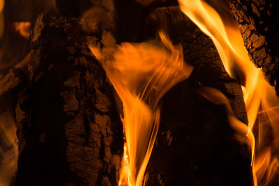 Close-up of bonfire