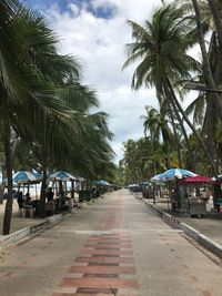 Road by palm trees against sky