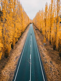 Empty road along trees during autumn