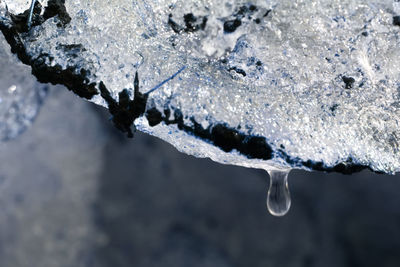 Close-up of frozen water