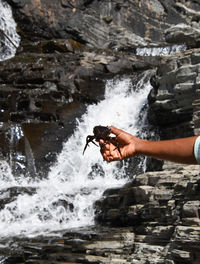 Man holding crab against waterfall