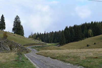 Road amidst trees against sky