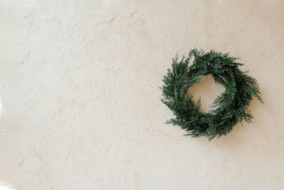 Christmas wreath made of coniferous wood on a beige background with copying space