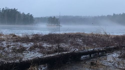 Scenic view of landscape during foggy weather