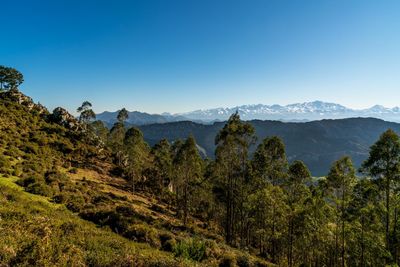 Scenic view of mountains against clear blue sky