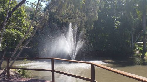 Scenic view of waterfall in forest