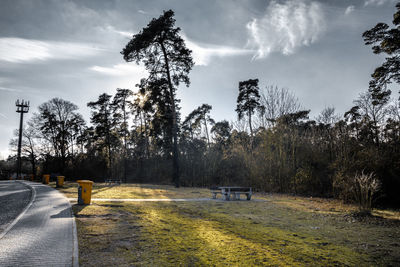 Garbage cans on footpath in park during sunny day