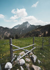 Scenic view of field against sky