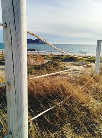 sea
