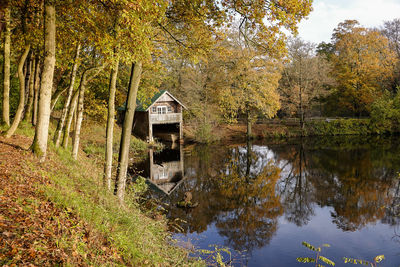 Trees by lake in forest during autumn