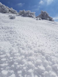 Close-up of snow covered landscape