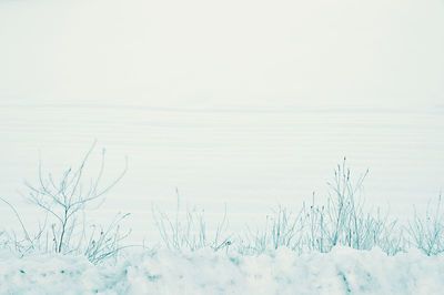 Scenic view of land against clear sky during winter