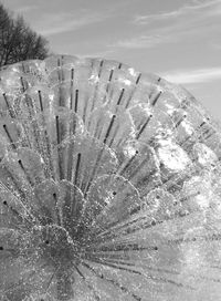 Close-up of frozen water on land