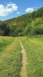 Scenic view of green landscape against sky