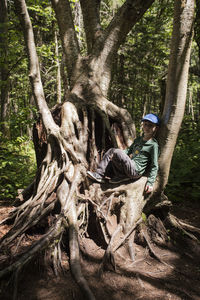 Full frame shot of tree in forest