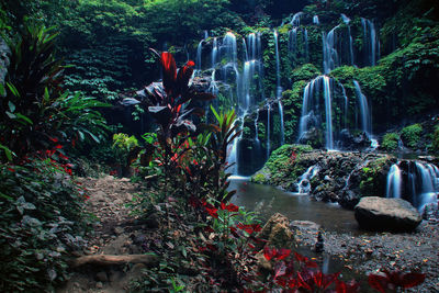 Water flowing through rocks in forest