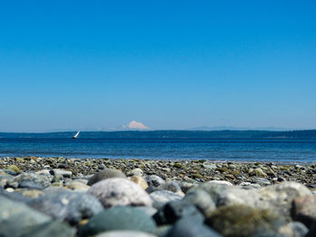 Scenic view of sea against clear blue sky