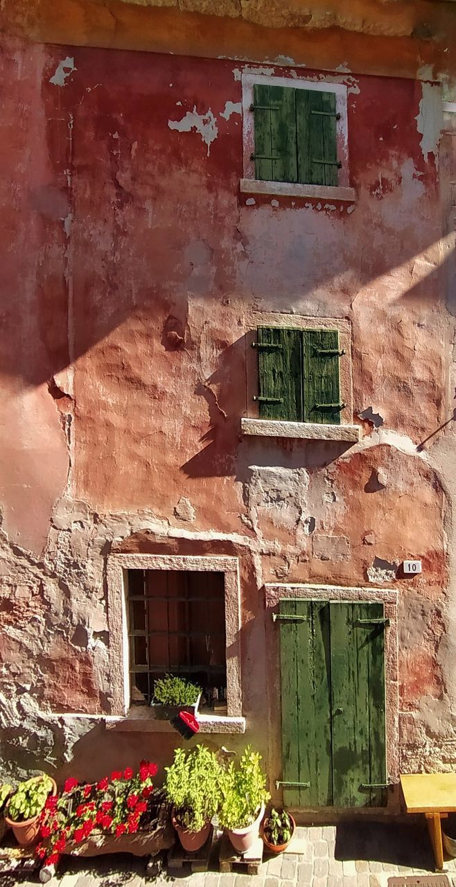 POTTED PLANTS ON OLD BUILDING