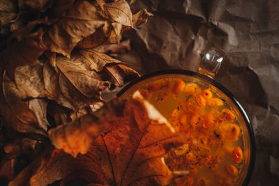 Close up llarge mug of hot orange sea buckthorn tea in a cozy home autumn evening still life 