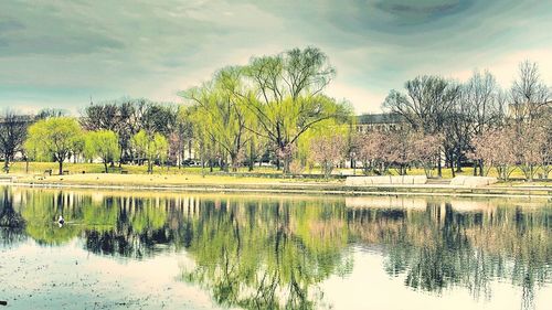 Reflection of trees in lake