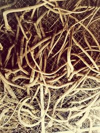 Full frame shot of tiled floor