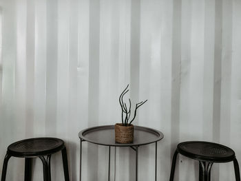 Potted plants on table at home