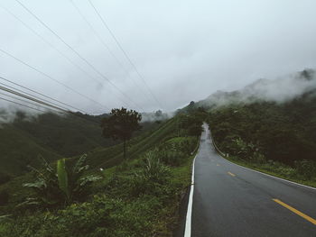 Road amidst plants and trees against sky