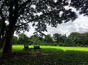 Bench in park