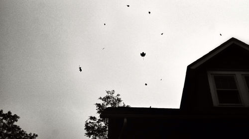 Low angle view of silhouette birds flying against clear sky