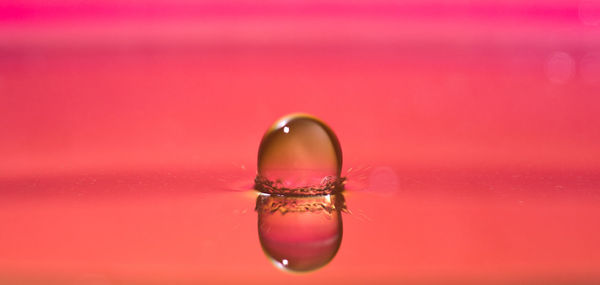 Close-up of water drop on red surface