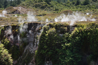 Plants growing on rock formations at craters of the moon