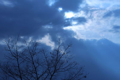 Low angle view of bare trees against cloudy sky