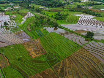 Aerial view beautiful morning view from indonesia about mountain and forest