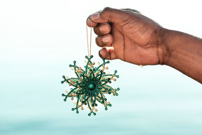 Close-up of hand holding plant against white background