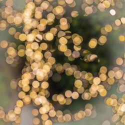 Defocused image of illuminated christmas lights