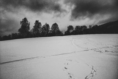 Trees on snow covered field against sky