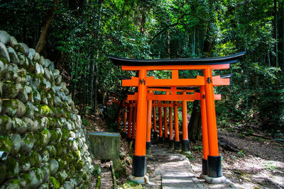 Shrine gates in kyoto 