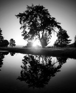 Silhouette tree by lake against sky