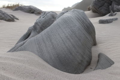 Low section of people relaxing on sand